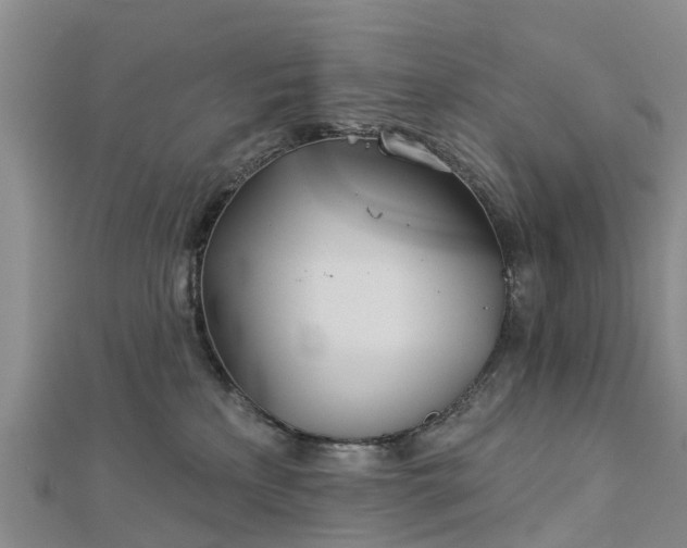 X0000113000233200909031259