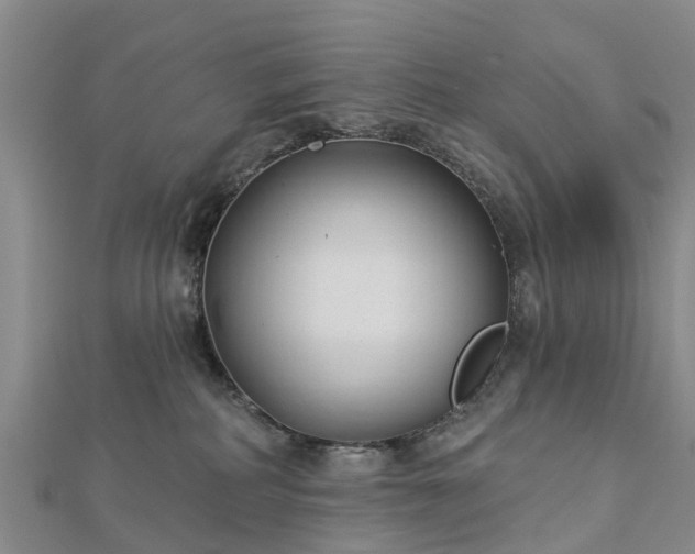 X0000113000234200909031259