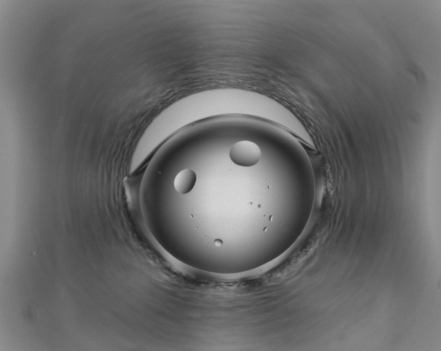 X0000113000235200909031259