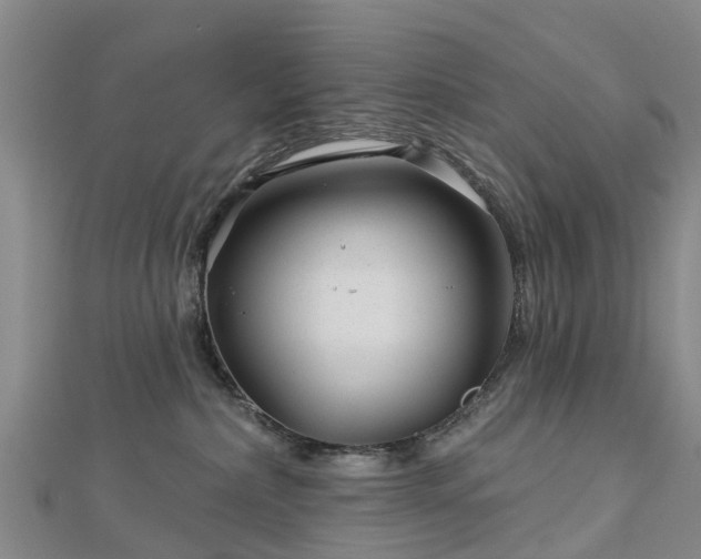 X0000113000236200909031259