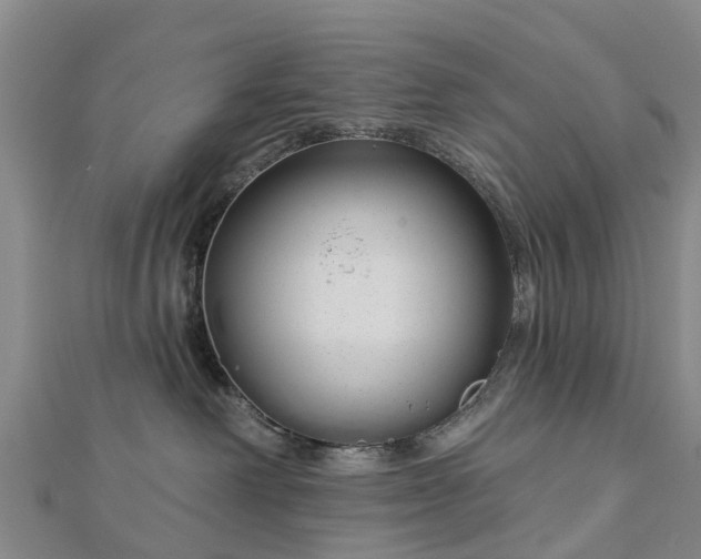 X0000113000238200909031259