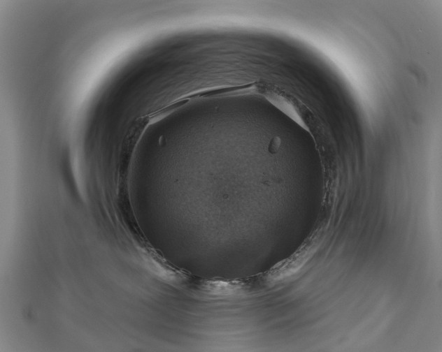 X0000113000239200909031259