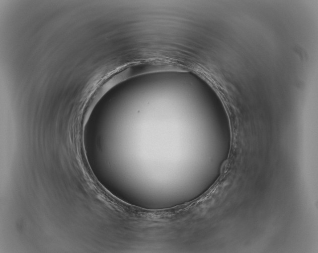 X0000113000241200909031259