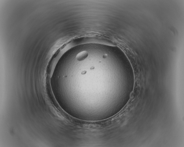 X0000113000242200909031259