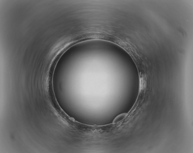 X0000113000243200909031259