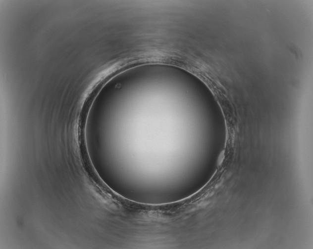 X0000113000244200909031259