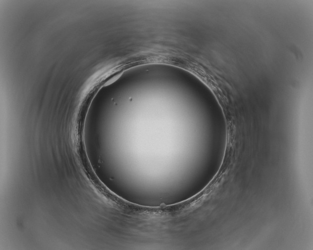 X0000113000245200909031259