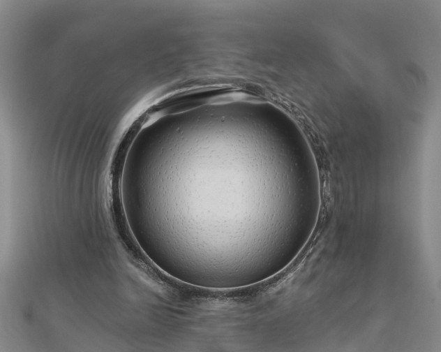 X0000113000246200909031259