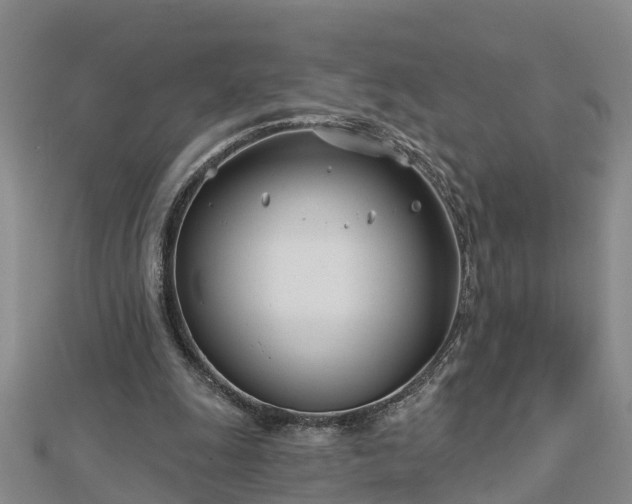 X0000113000247200909031259