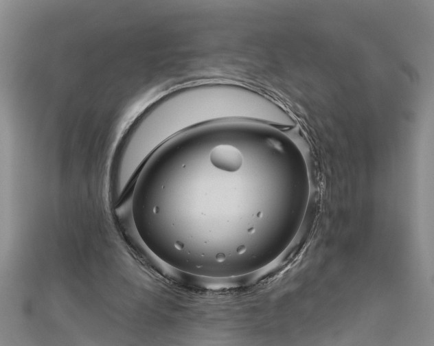 X0000113000248200909031259