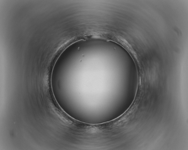 X0000113000249200909031259