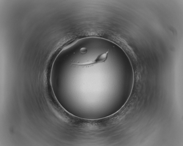 X0000113000250200909031259