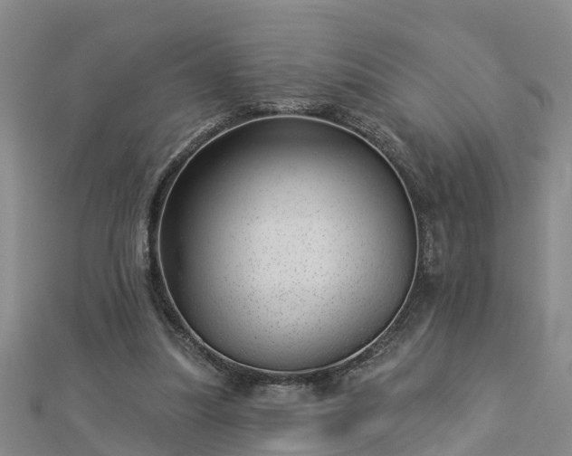 X0000113000251200909031259