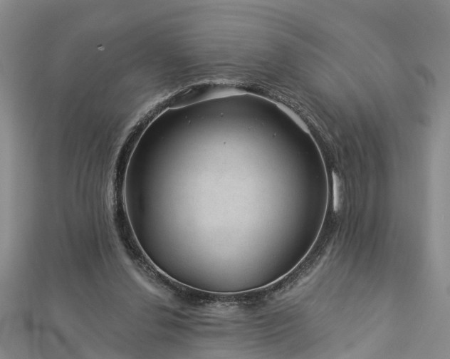 X0000113000252200909031259