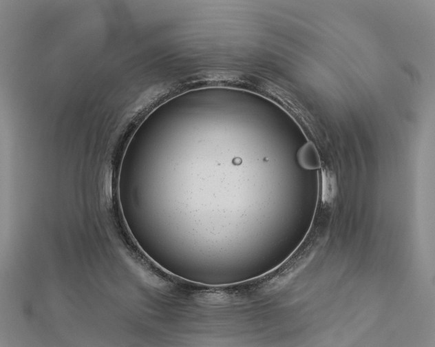 X0000113000253200909031259