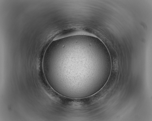 X0000113000255200909031259