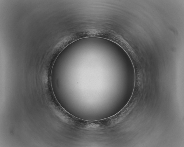 X0000113000257200909031259