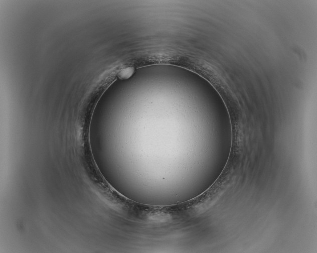 X0000113000258200909031259