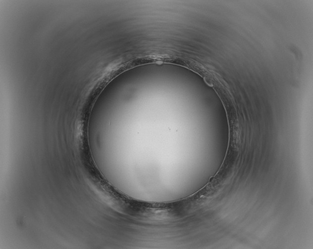 X0000113000260200909031259