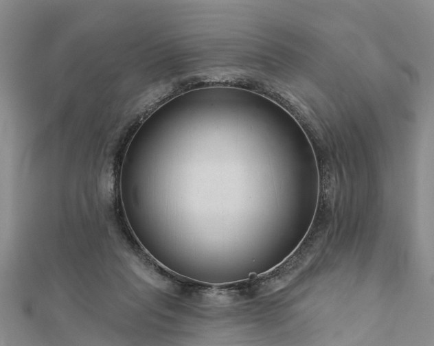 X0000113000261200909031259