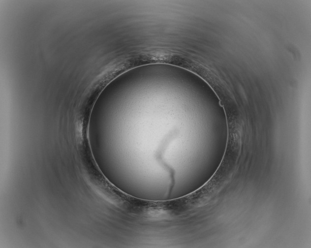 X0000113000262200909031259