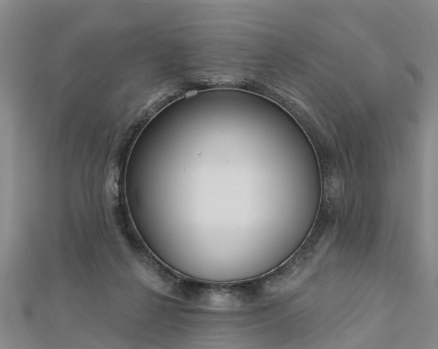 X0000113000264200909031259