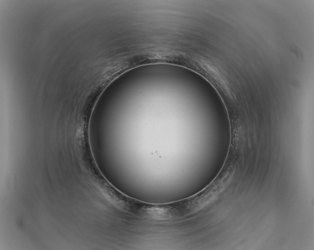 X0000113000265200909031259