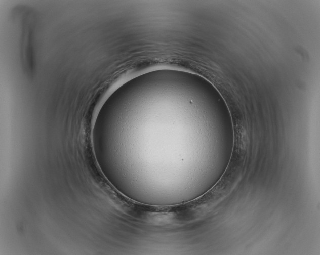 X0000113000266200909031259