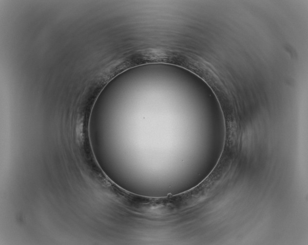 X0000113000267200909031259