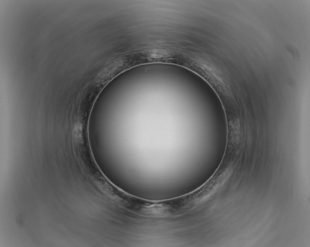 X0000113000269200909031259