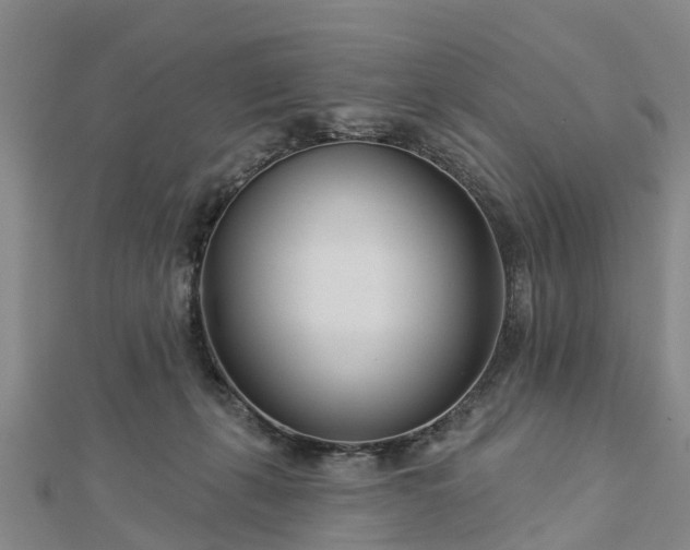 X0000113000271200909031259