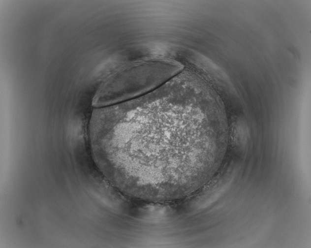 X0000113000272200909031259