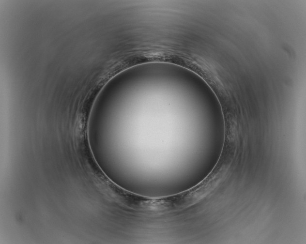 X0000113000273200909031259