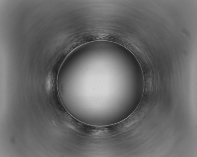 X0000113000274200909031259