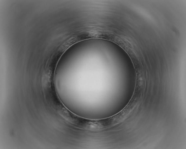 X0000113000275200909031259