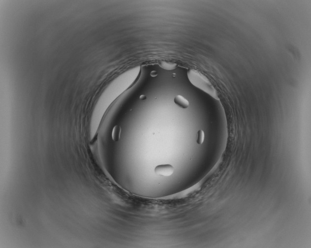 X0000113000276200909031259