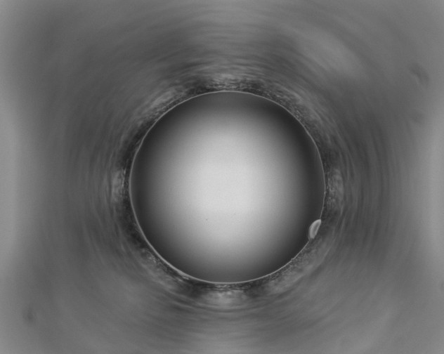 X0000113000278200909031259