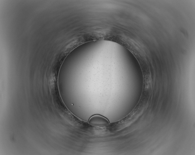 X0000113000279200909031259