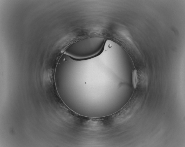 X0000113000280200909031259