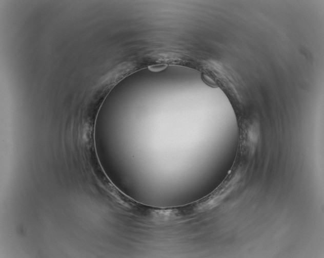 X0000113000281200909031259