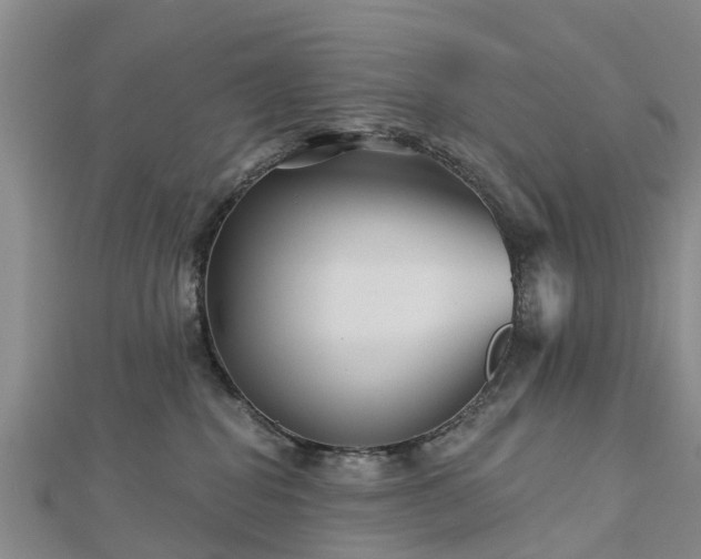 X0000113000282200909031259