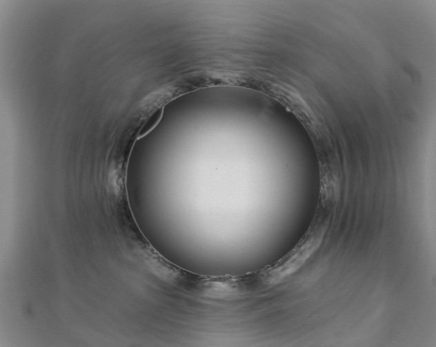 X0000113000285200909031259