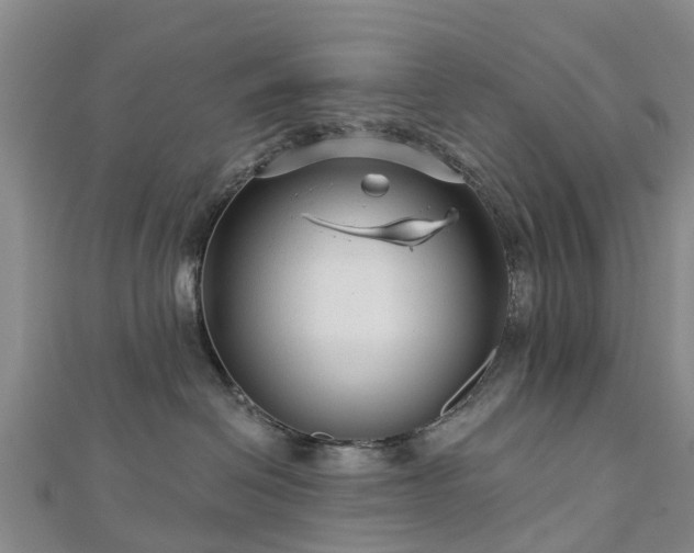 X0000113000286200909031259