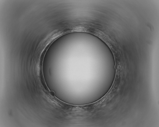 X0000113000290200909031259