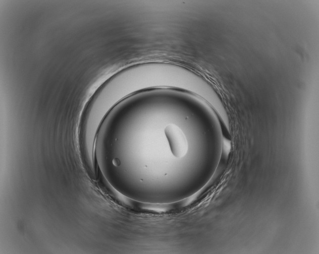 X0000113000292200909031259