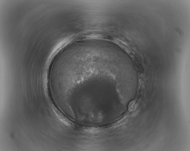 X0000113000293200909031259