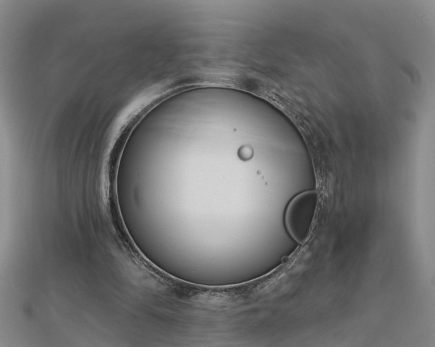 X0000113000294200909031259