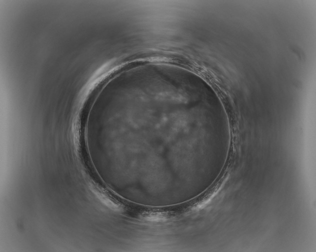 X0000113000295200909031259