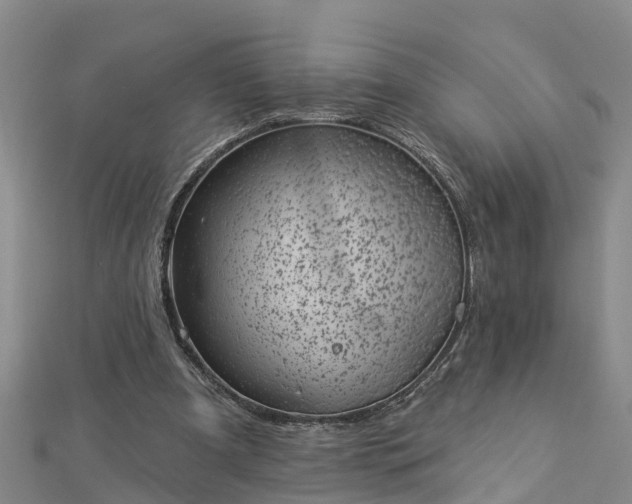 X0000113000297200909031259