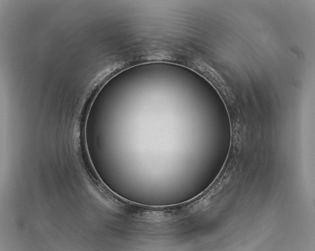 X0000113000298200909031259